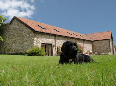 holiday cottages dogs welcome